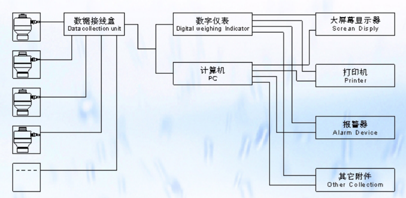 ZSW-D型FBPORNHUB网址导航称重系统示意图